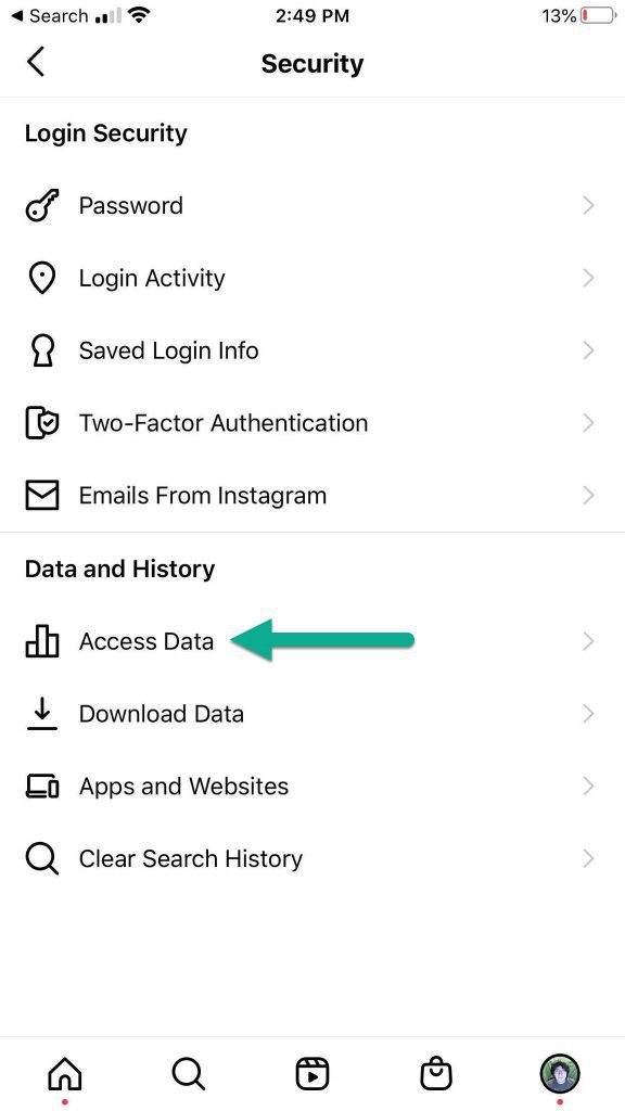 Access Data Button, Instagram Security Settings