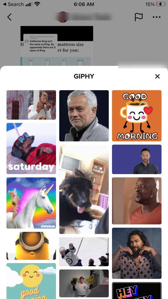 Giphy GIFs On TikTok