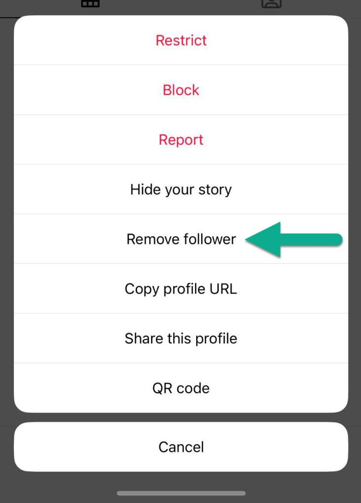 Remove Follower Button, Instagram