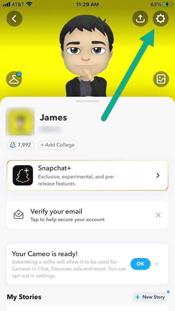 Snapchat Profile, Settings Button