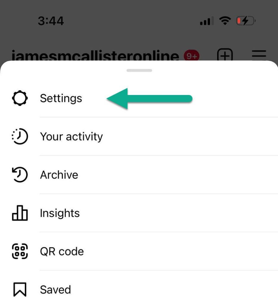 Settings Button, Instagram Mobile App