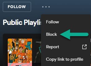 Block Button, Spotify Profile