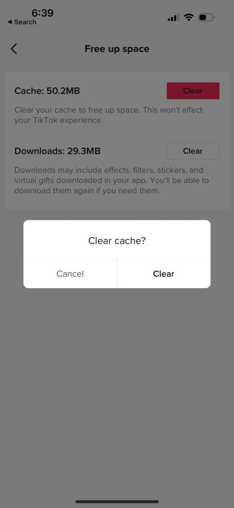 Clear Cache, TikTok App