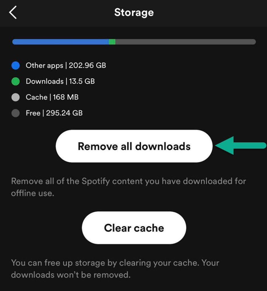 Remove All Downloads, Spotify Mobile App
