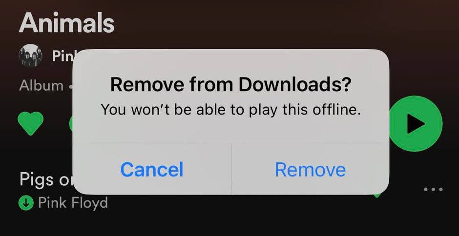 Remove From Downloads, Spotify