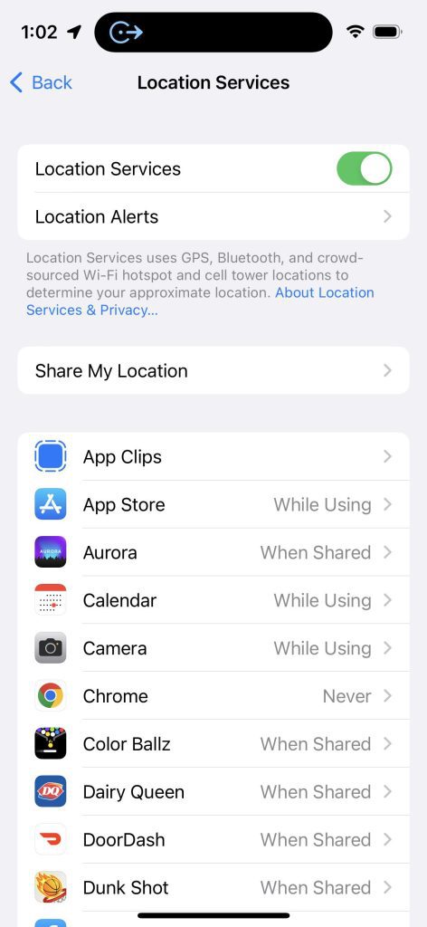 Apps Using Location, iPhone