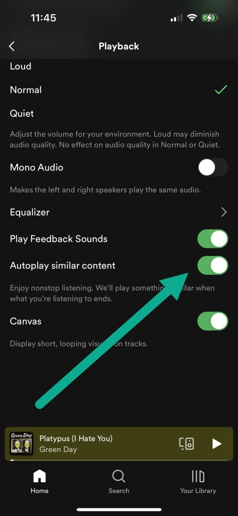 Autoplay Similar Content Toggle, Spotify Mobile App