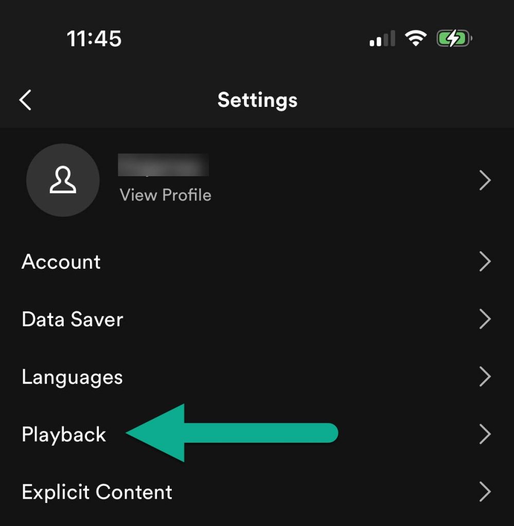 Playback Button, Spotify Settings